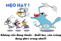 Mẹo hay cuộc sống: Cách đuổi chuột, muỗi, kiến và gián không dùng thuốc, an toàn cho nhà bạn!