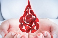 5 thực phẩm giúp tăng số lượng tiểu cầu trong máu