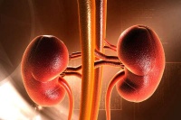 9 thói quen hàng ngày đang gây hại cho thận