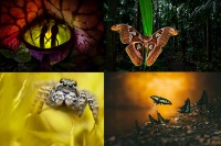 Ấn tượng với những bức ảnh cận cảnh đẹp nhất năm 2023