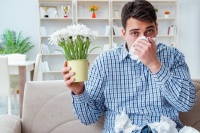 Nơi ẩn náu của các tác nhân gây dị ứng trong nhà