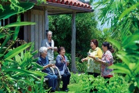 7 thực phẩm được ưa thích tại vùng đất trường thọ Okinawa, Nhật Bản