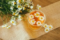 10 lý do bạn nên uống trà cúc La Mã mỗi ngày