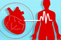 9 loại thảo mộc quen thuộc giúp hạ huyết áp hiệu quả 