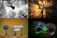 Những bức ảnh thiên nhiên hoang dã đẹp nhất nước Anh năm 2026