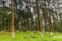 Điểm đến “tránh nóng” cho kỳ nghỉ ngắn ngày tại Hà Nội