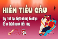Hiến tiểu cầu: Quy trình đặc biệt và điều kiện để trở thành người hiến tặng