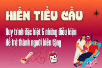 Hiến tiểu cầu: Quy trình đặc biệt và điều kiện để trở thành người hiến tặng