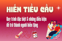 Hiến tiểu cầu: Quy trình đặc biệt và điều kiện để trở thành người hiến tặng