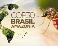 Câu chuyện sốt vàng da và biến đổi khí hậu tại COP30