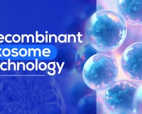 Recombinant exosome - Hướng đi mới trong nghiên cứu, hỗ trợ điều trị các bệnh mạn tính