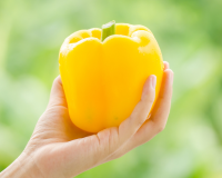 Sự thật thú vị về lợi ích của ớt chuông vàng