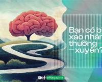 Bạn có bị xao nhãng thường xuyên?