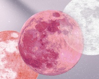 Tử vi tháng 11/2025: Thiên Bình nên tính toán kỹ trước các khoản đầu tư tài chính