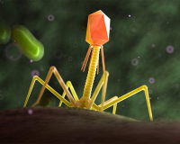 Công nghệ mới giúp tiêu diệt 99,9% vi khuẩn trong thực phẩm