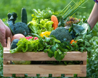 Lợi ích từ việc ăn uống theo mùa