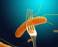 TP.HCM: Đã tìm ra 'thủ phạm' khiến hơn 80 người ngộ độc sau ăn bánh mì 