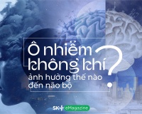 Ô nhiễm không khí ảnh hưởng thế nào đến não bộ?