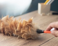 6 thói quen dọn dẹp có thể đã “lỗi thời”