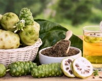 Trị đái tháo đường bằng quả nhàu có tốt không?