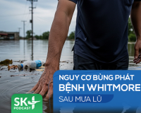 Podcast: Nguy cơ bùng phát bệnh Whitmore sau mưa lũ