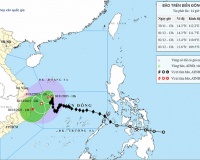 Bão số 15 hướng vào vùng biển từ Gia Lai đến Khánh Hòa 