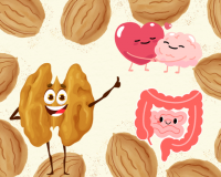 Infographic: Quả óc chó - Lợi ích và những điều cần lưu ý