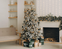 Lựa chọn cây thông Noel thật hay giả để bảo vệ môi trường?