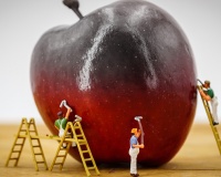 Mối nguy sức khỏe từ gian lận thương mại trong lĩnh vực thực phẩm (P1)