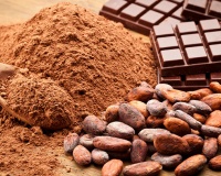 Cacao và chocolate: “Vũ khí tự nhiên” giúp bảo vệ sức khỏe