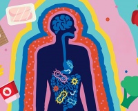 6 thói quen ăn uống khiến hệ vi sinh đường ruột suy yếu