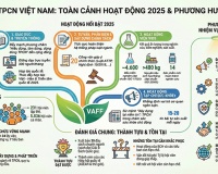 VAFF: Tổng kết năm 2025 và chiến lược làm sạch thị trường TPCN 2026