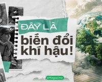 Đây là biến đổi khí hậu!