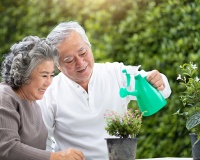 Những sở thích giúp não bộ trẻ lâu