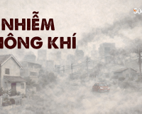 Infographic: Ô nhiễm không khí và sức khỏe con người