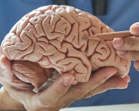 Ca mắc sa sút trí tuệ trẻ nhất nước Anh hiến não cho y học