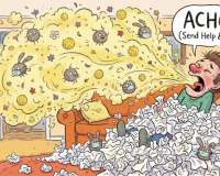 Bác sĩ lý giải: Vì sao viêm mũi dị ứng ngày càng phổ biến