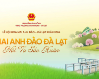 Infographic: Điểm nhấn tại Lễ hội Hoa mai anh đào Đà Lạt 