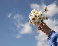 Tử vi thứ Ba (20/1/2026): Bảo Bình sẽ có một ngày khá mơ mộng