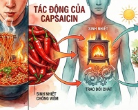Ăn cay ảnh hưởng thế nào đến quá trình trao đổi chất và tuổi thọ?