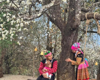 Infographic: Ngọc Chiến - Nậm Nghẹp mùa hoa sơn tra!