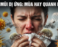 Viêm mũi dị ứng: Vì sao có người bị theo mùa, người lại mắc quanh năm?