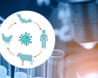 Những ổ chứa mầm bệnh vẫn đang âm thầm đe dọa con người