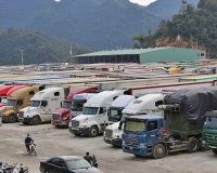 Thủ tướng chỉ đạo khẩn gỡ vướng Nghị định 46 về an toàn thực phẩm