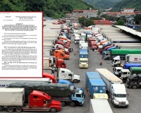 Chính phủ quyết định tạm ngưng hiệu lực và điều chỉnh thời hiệu Nghị định 46