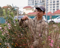 Infographic: Người dân cần chuẩn bị gì để di chuyển an toàn dịp Tết?