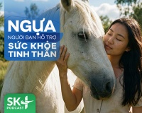 Podcast: Ngựa – người bạn hỗ trợ sức khỏe tinh thần