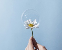 Tử vi thứ Sáu (13/2/2026): Bảo Bình sẽ thể hiện được sự dịu dàng của mình