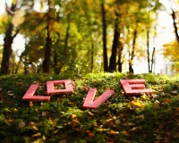 Tử vi thứ Bảy (14/2/2026): Song Ngư sẽ gặp được nhiều thuận lợi 