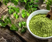 Công dụng chăm sóc sức khỏe đa năng của bột chùm ngây